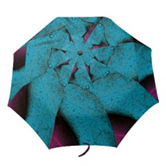 Plumage Folding Umbrellas by nateshop