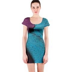 Plumage Short Sleeve Bodycon Dress by nateshop