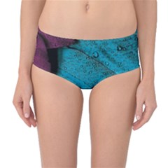 Plumage Mid-waist Bikini Bottoms by nateshop