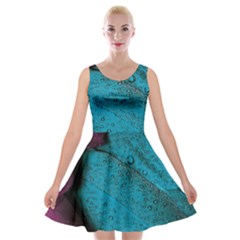 Plumage Velvet Skater Dress by nateshop