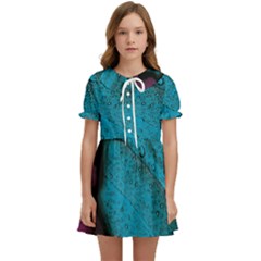 Plumage Kids  Sweet Collar Dress by nateshop