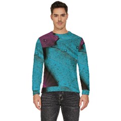 Plumage Men s Fleece Sweatshirt by nateshop