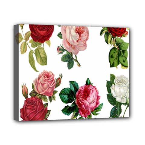 Roses-white Canvas 10  X 8  (stretched)