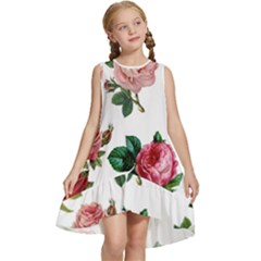 Roses-white Kids  Frill Swing Dress by nateshop