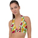 Watermelon -12 Halter Plunge Bikini Top View1