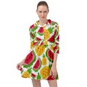 Watermelon -12 Mini Skater Shirt Dress View1