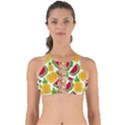 Watermelon -12 Perfectly Cut Out Bikini Top View1