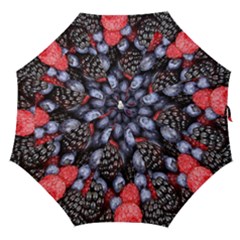 Berries-01 Straight Umbrellas by nateshop