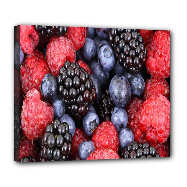 Berries-01 Deluxe Canvas 24  x 20  (Stretched)