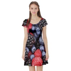 Berries-01 Short Sleeve Skater Dress by nateshop