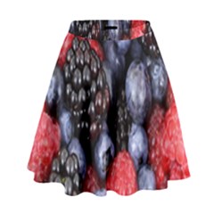 Berries-01 High Waist Skirt by nateshop