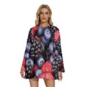 Berries-01 Round Neck Long Sleeve Bohemian Style Chiffon Mini Dress View1