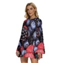 Berries-01 Round Neck Long Sleeve Bohemian Style Chiffon Mini Dress View2