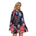 Berries-01 Round Neck Long Sleeve Bohemian Style Chiffon Mini Dress View3