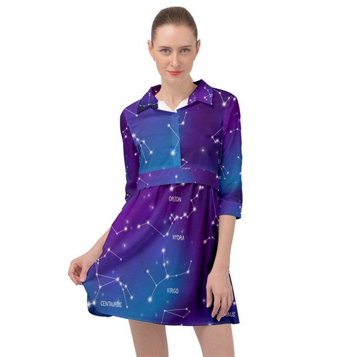 Realistic Night Sky With Constellations Mini Skater Shirt Dress