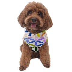 Mandala Rainbow Colorful Dog Sweater by Bedest