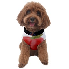 Adobe Express 20230807 1249100 1 Fb Img 1694012935321 Fb Img 1694012925239 Pngfind Com-league-of-legends-png-3243460 Dog Sweater by 94gb