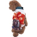 Adobe Express 20230807 1249100 1 Fb Img 1694012935321 Fb Img 1694012925239 Pngfind Com-league-of-legends-png-3243460 Dog Sweater View2