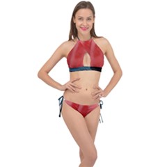 Adobe Express 20230807 1249100 1 Fb Img 1694012935321 Fb Img 1694012925239 Pngfind Com-league-of-legends-png-3243460 Cross Front Halter Bikini Set by 94gb