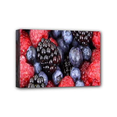 Berries-01 Mini Canvas 6  X 4  (stretched) by nateshop