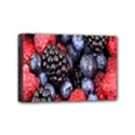 Berries-01 Mini Canvas 6  x 4  (Stretched) View1