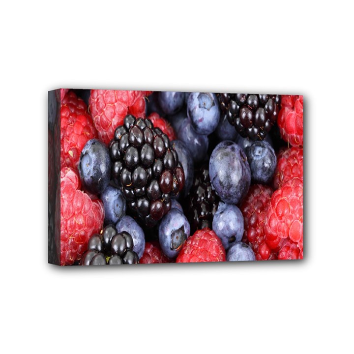 Berries-01 Mini Canvas 6  x 4  (Stretched)