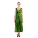 Green-leaf-plant-freshness-color Sleeveless Maxi Dress View1