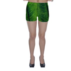 Green-leaf-plant-freshness-color Skinny Shorts by Bedest