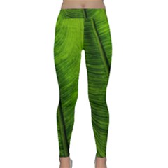 Green-leaf-plant-freshness-color Classic Yoga Leggings by Bedest