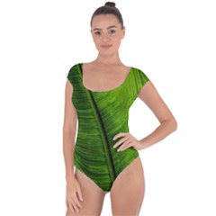 Green-leaf-plant-freshness-color Short Sleeve Leotard  by Bedest