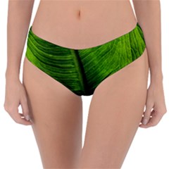 Green-leaf-plant-freshness-color Reversible Classic Bikini Bottoms by Bedest