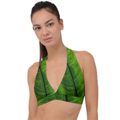 Green-leaf-plant-freshness-color Halter Plunge Bikini Top by Bedest