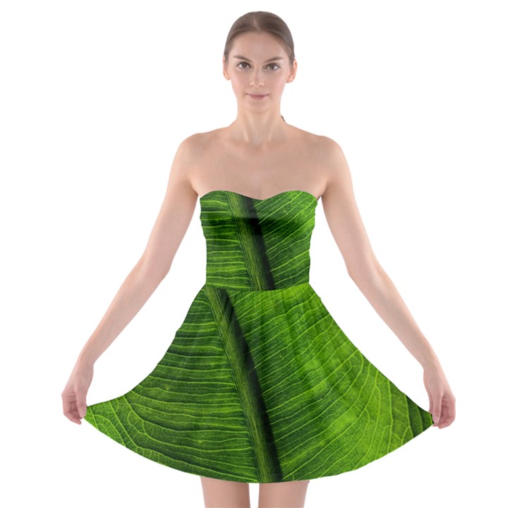 Green-leaf-plant-freshness-color Strapless Bra Top Dress