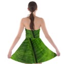 Green-leaf-plant-freshness-color Strapless Bra Top Dress View2