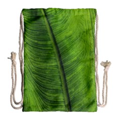 Green-leaf-plant-freshness-color Drawstring Bag (large) by Bedest