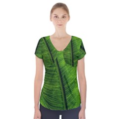 Green-leaf-plant-freshness-color Short Sleeve Front Detail Top by Bedest