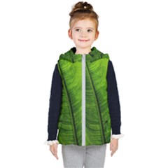 Green-leaf-plant-freshness-color Kids  Hooded Puffer Vest by Bedest