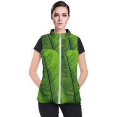 Green-leaf-plant-freshness-color Women s Puffer Vest by Bedest