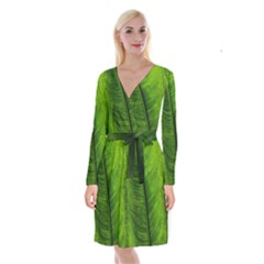 Green-leaf-plant-freshness-color Long Sleeve Velvet Front Wrap Dress by Bedest