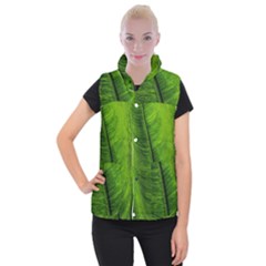 Green-leaf-plant-freshness-color Women s Button Up Vest by Bedest