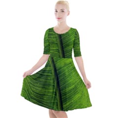 Green-leaf-plant-freshness-color Quarter Sleeve A-line Dress by Bedest