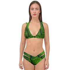 Green-leaf-plant-freshness-color Double Strap Halter Bikini Set by Bedest