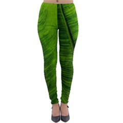 Green-leaf-plant-freshness-color Lightweight Velour Leggings by Bedest