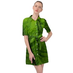 Green-leaf-plant-freshness-color Belted Shirt Dress by Bedest