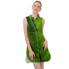 Green-leaf-plant-freshness-color Sleeveless Shirt Dress by Bedest