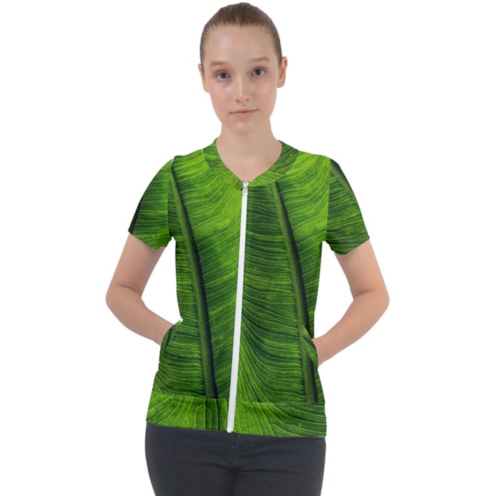 Green-leaf-plant-freshness-color Short Sleeve Zip Up Jacket