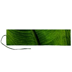 Green-leaf-plant-freshness-color Roll Up Canvas Pencil Holder (l) by Bedest