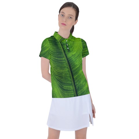 Green-leaf-plant-freshness-color Women s Polo T-shirt by Bedest