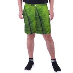 Green-leaf-plant-freshness-color Men s Pocket Shorts by Bedest