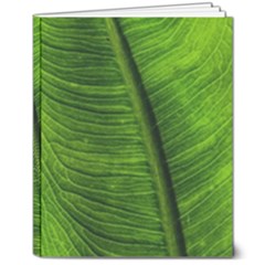 Green-leaf-plant-freshness-color 8  X 10  Hardcover Notebook